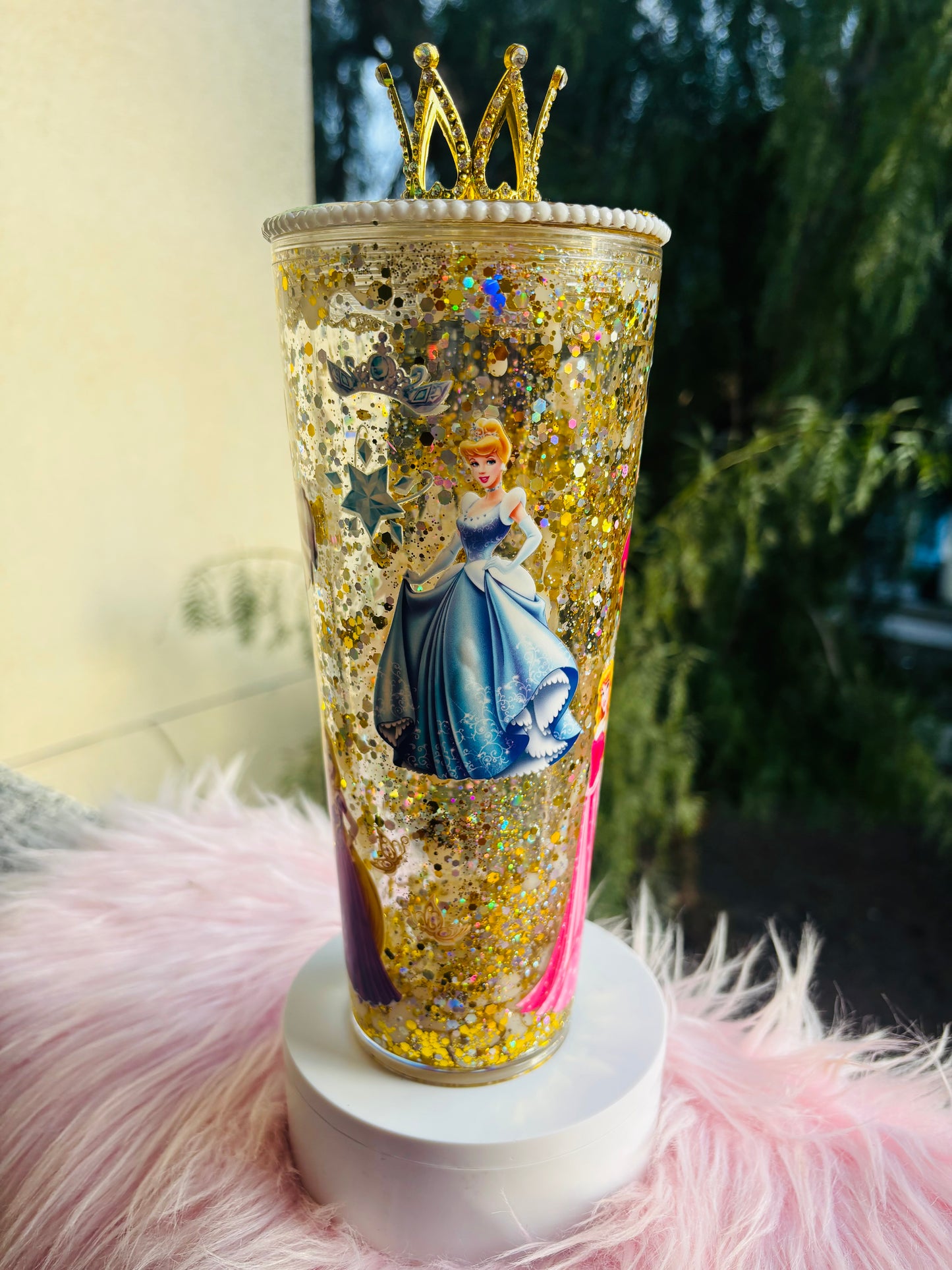 Princesses 24oz tumbler