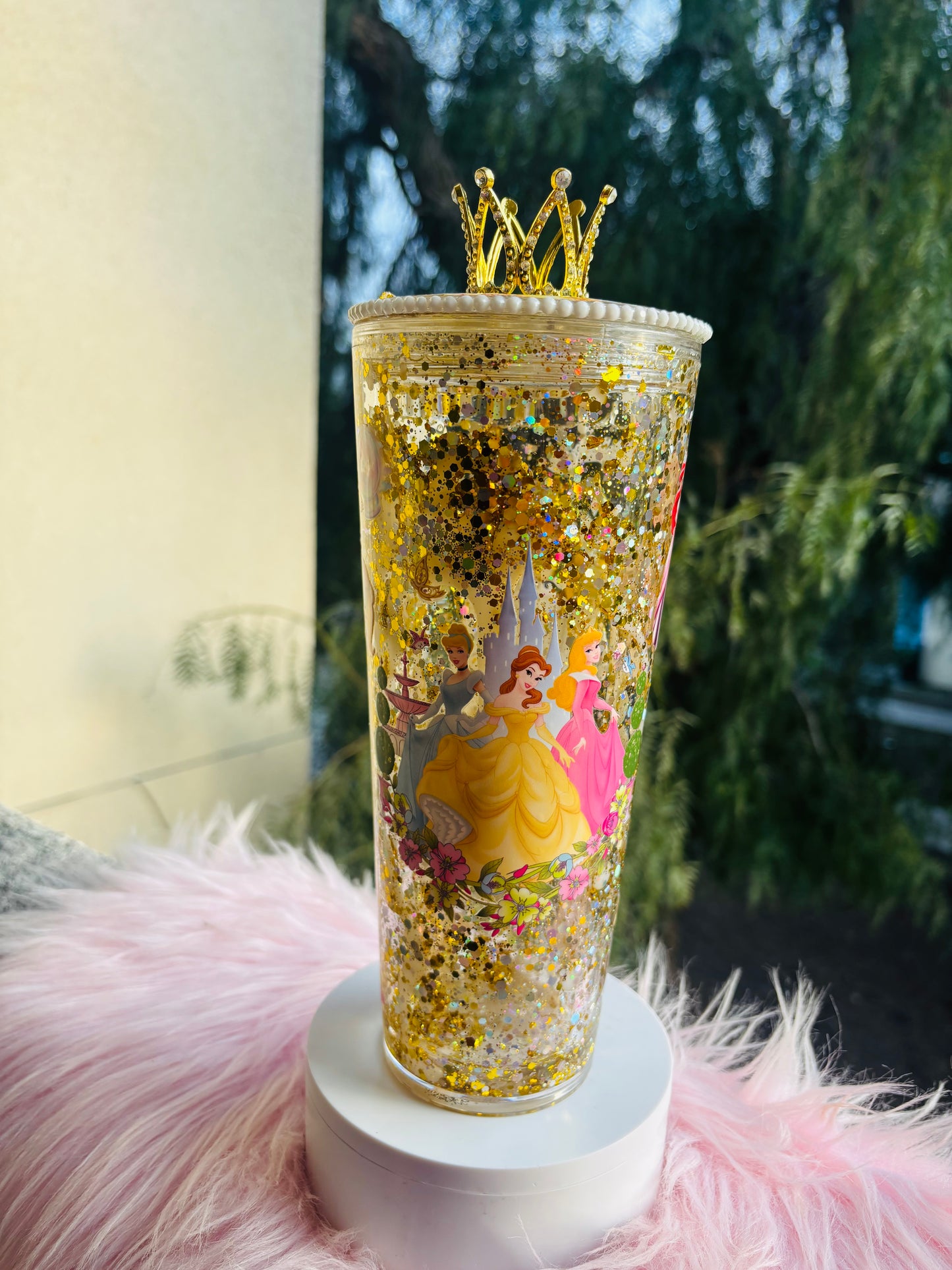 Princesses 24oz tumbler