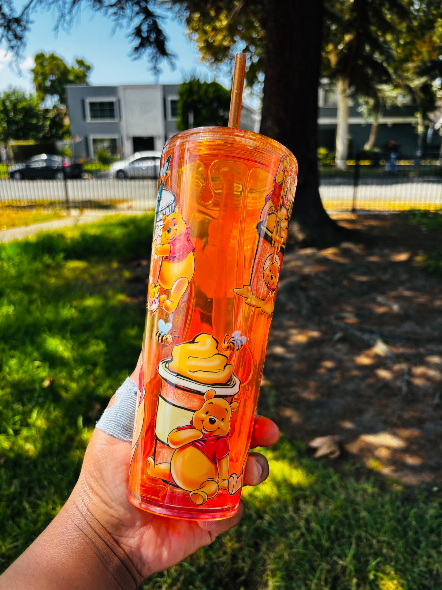 Orange Drip Pooh 24 oz acrylic Snow globe tumbler