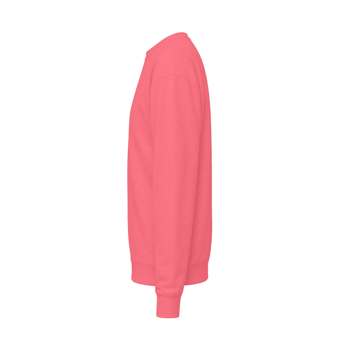 Every child Unisex Midweight Softstyle Fleece Crewneck Sweatshirt