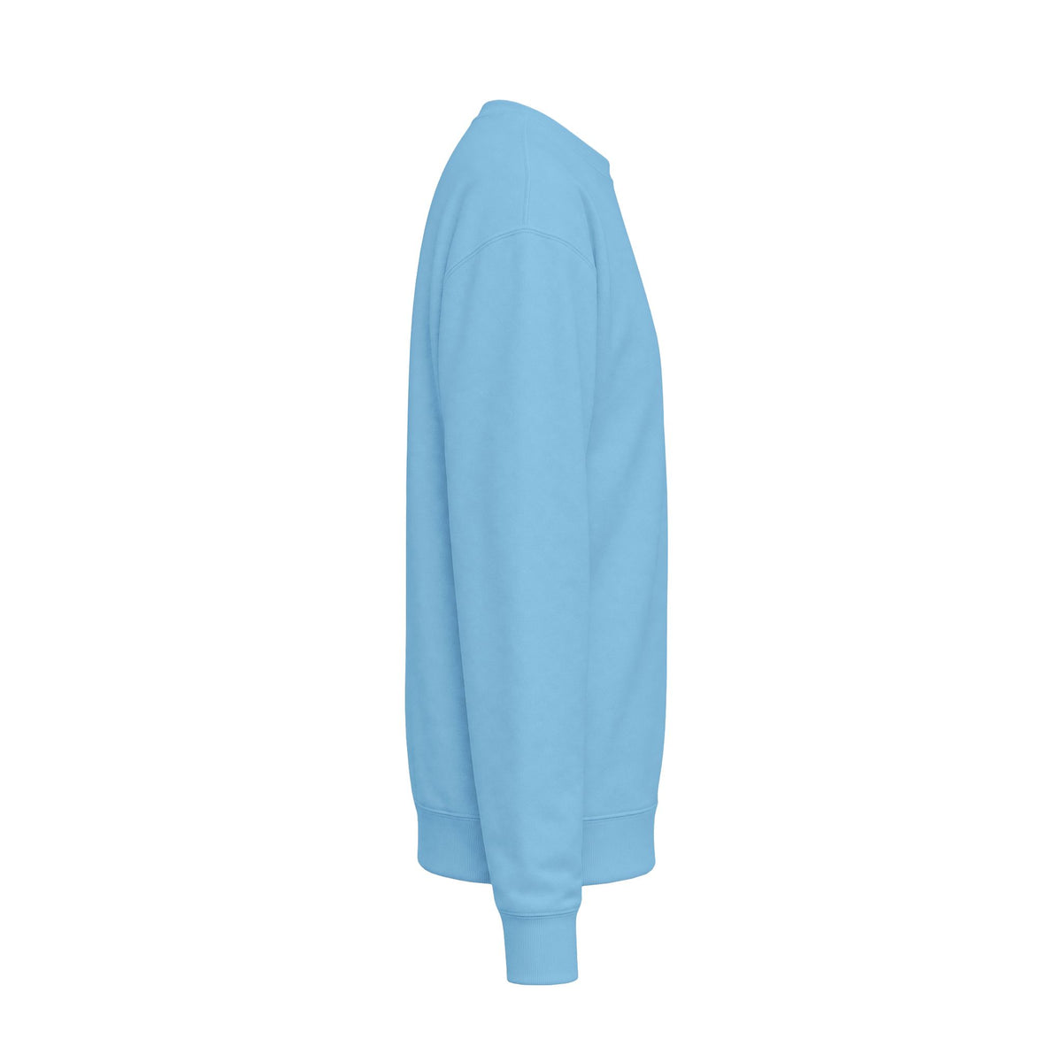 Every child Unisex Midweight Softstyle Fleece Crewneck Sweatshirt