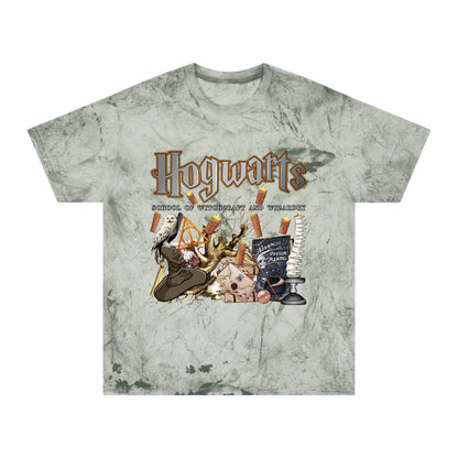 Hogwarts Color Blast Wizard T-Shirt
