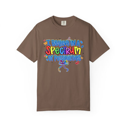 I Believe in a Spectrum of Possibilities T-Shirt