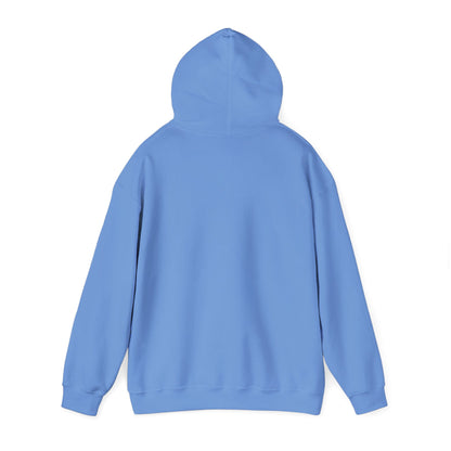 I use to be worse Unisex Heavy Blend™ Hooded Sweatshirt