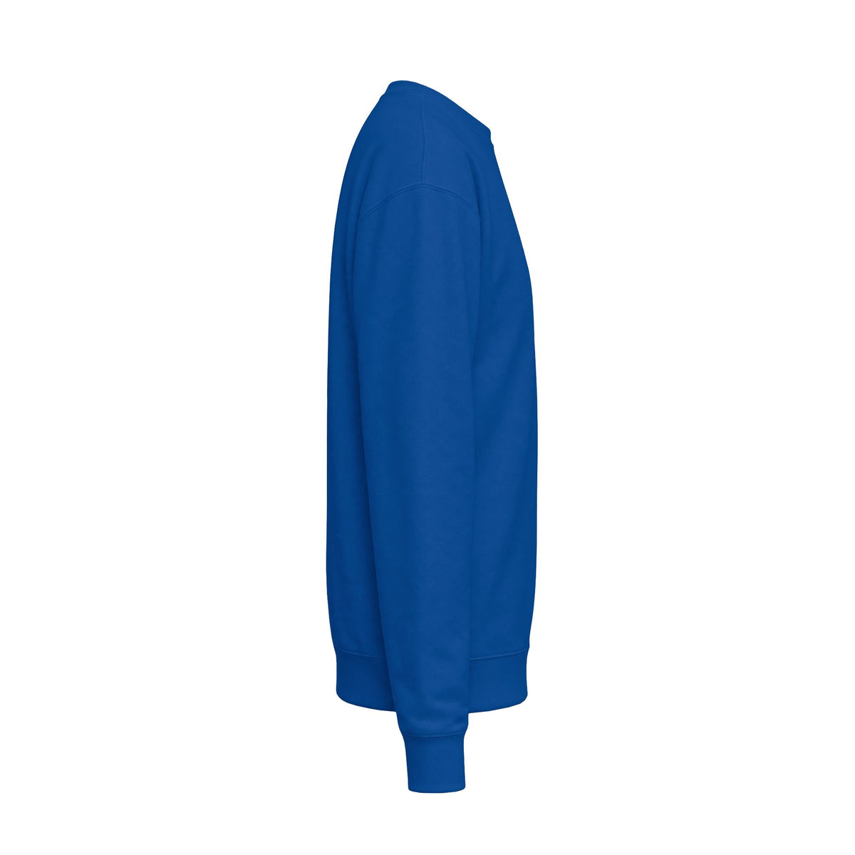 Every child Unisex Midweight Softstyle Fleece Crewneck Sweatshirt
