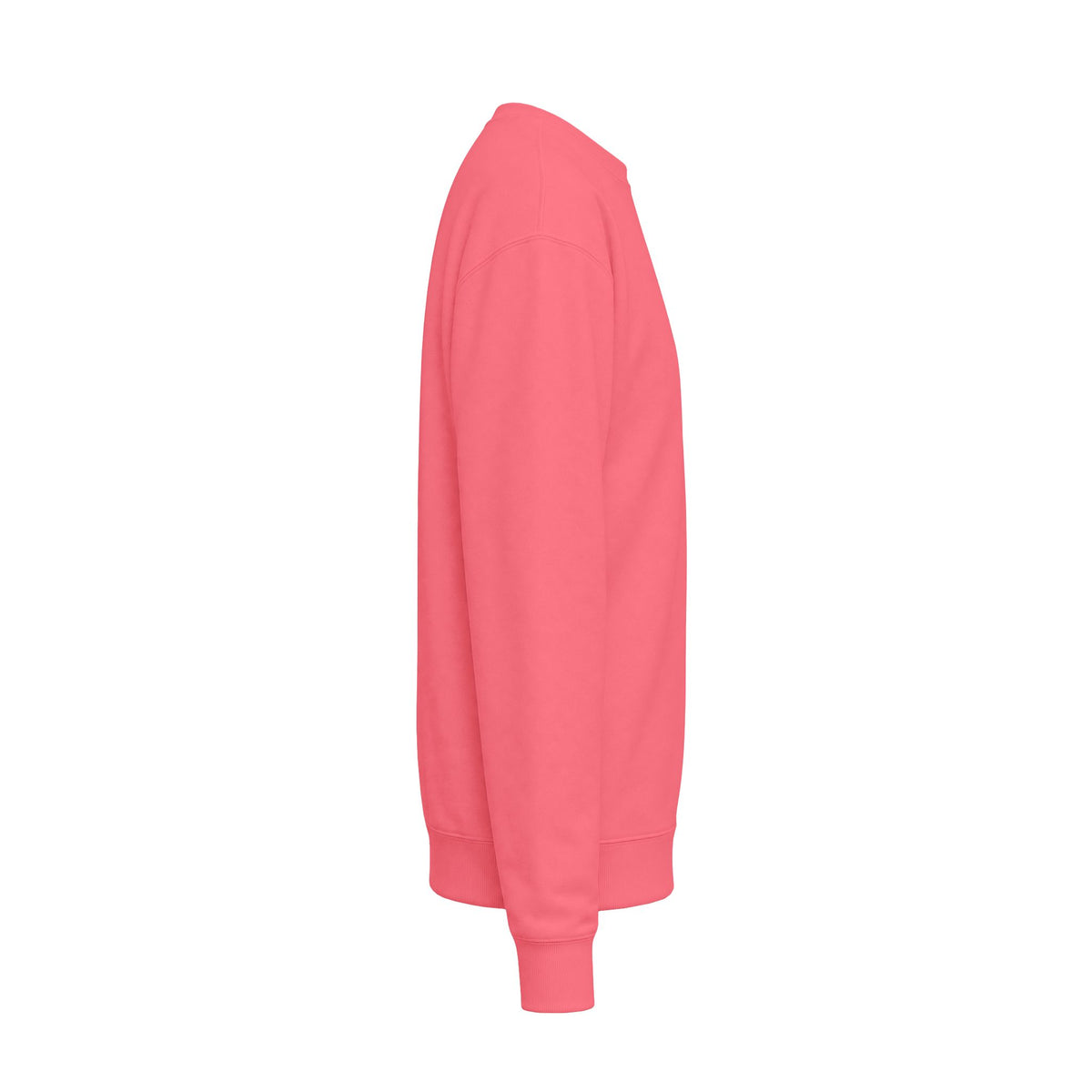 Every child Unisex Midweight Softstyle Fleece Crewneck Sweatshirt