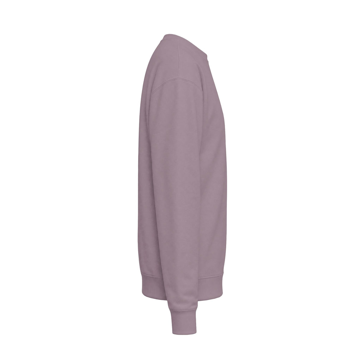 Every child Unisex Midweight Softstyle Fleece Crewneck Sweatshirt