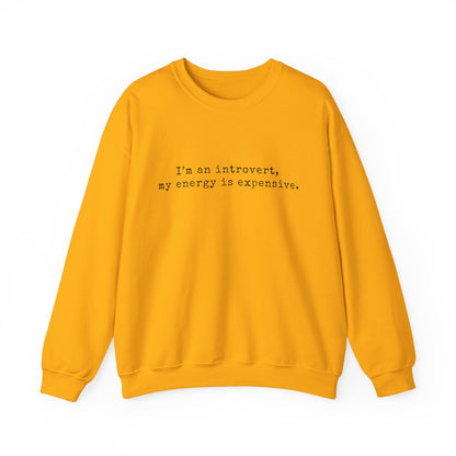 I’m an introvert, my energy is expensive Minimalist Crewneck