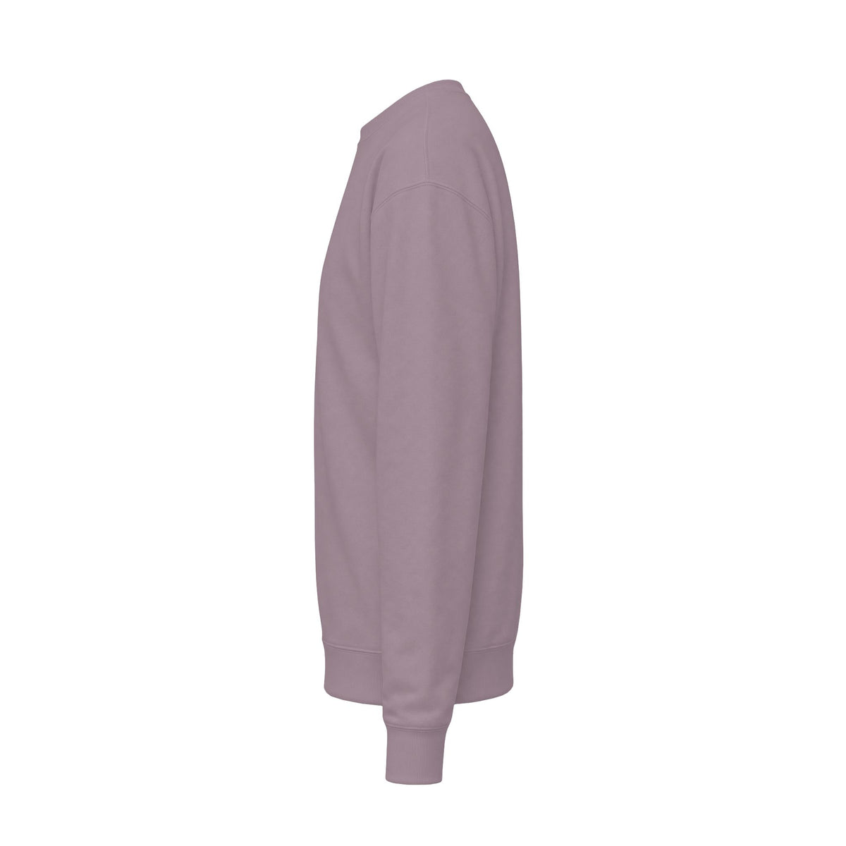 Every child Unisex Midweight Softstyle Fleece Crewneck Sweatshirt