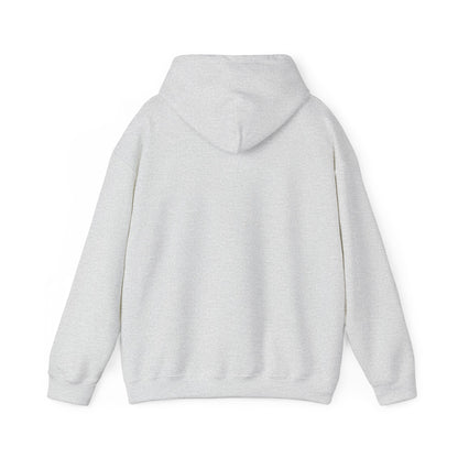 I use to be worse Unisex Heavy Blend™ Hooded Sweatshirt