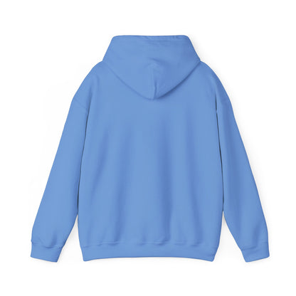I use to be worse Unisex Heavy Blend™ Hooded Sweatshirt