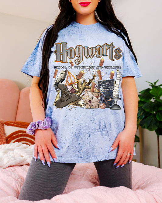 Hogwarts Color Blast Wizard T-Shirt